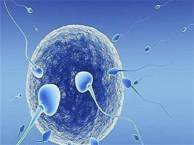 找卵代生子机构
